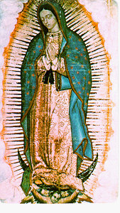      Our Lady of Guadalupe 